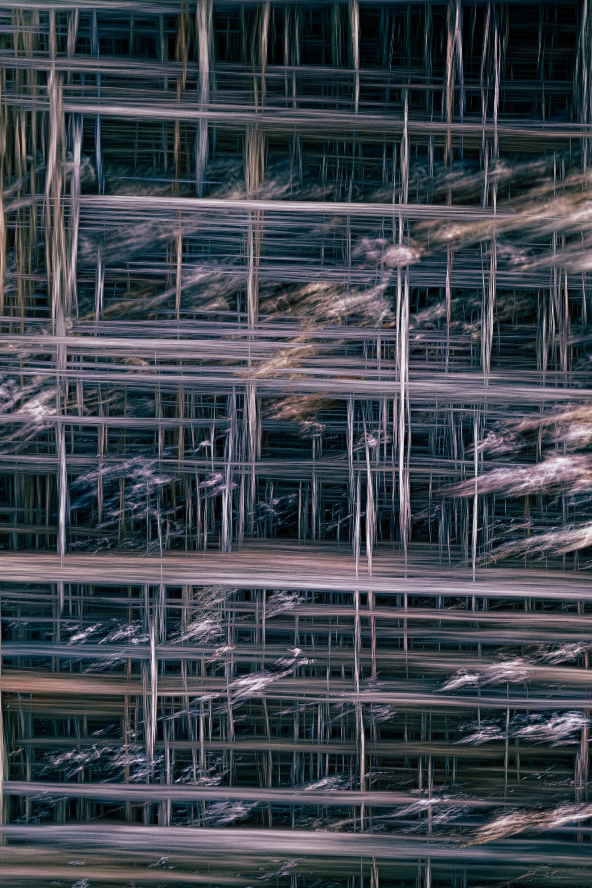 WEB